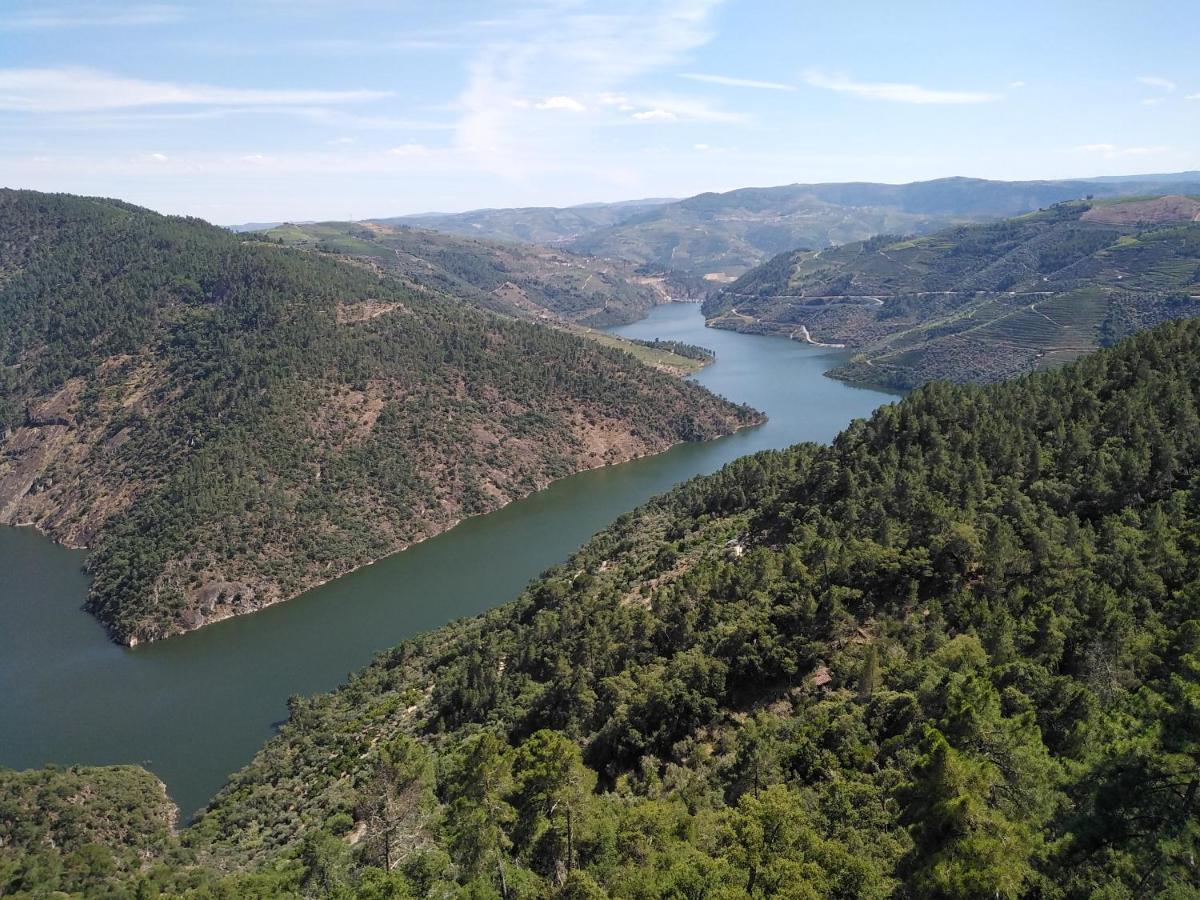 Casa Machado Villa Vila Real Dış mekan fotoğraf