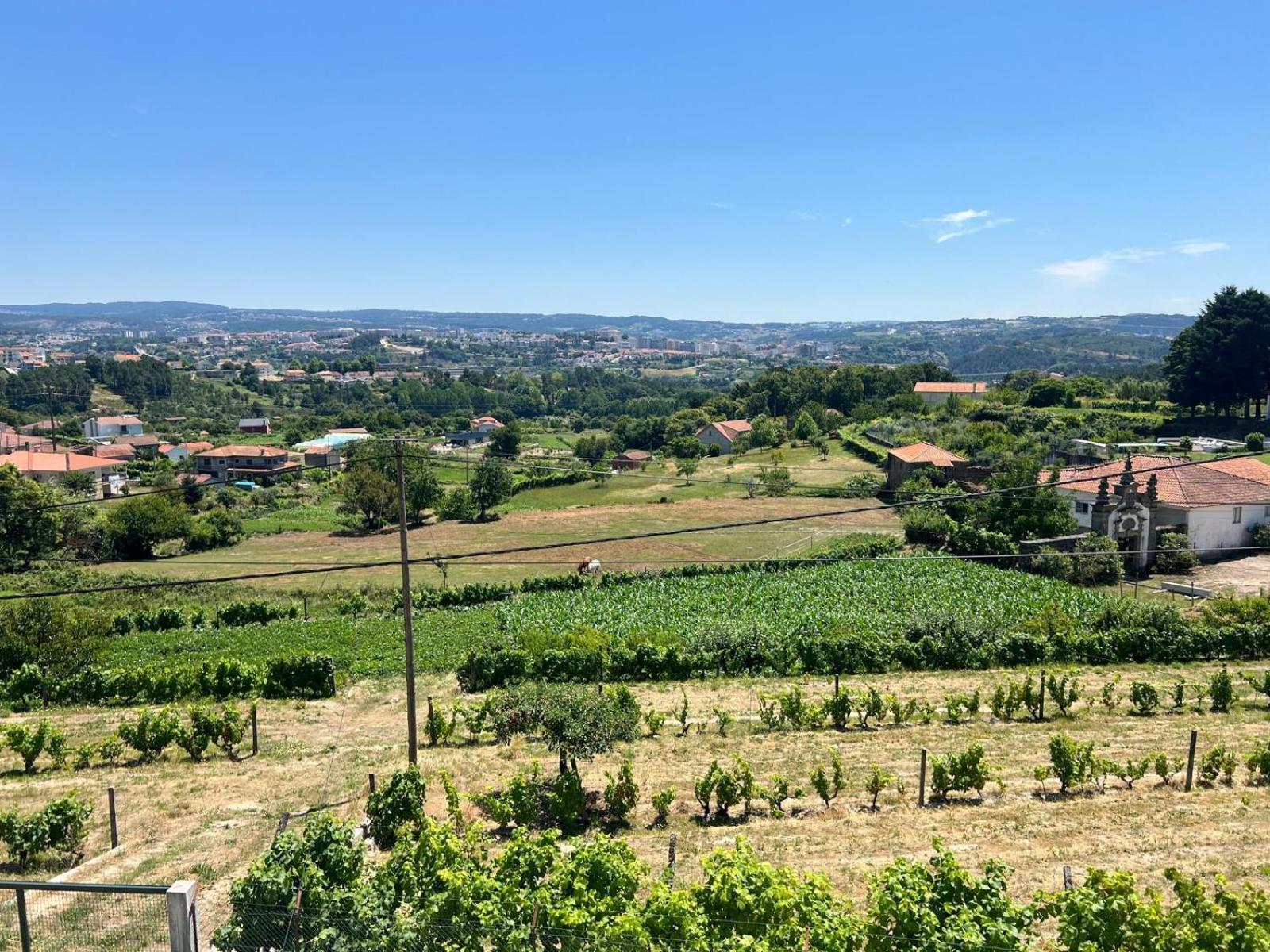 Casa Machado Villa Vila Real Dış mekan fotoğraf